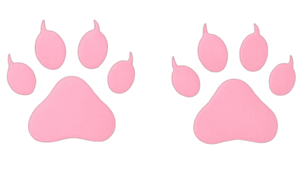 cat paw print